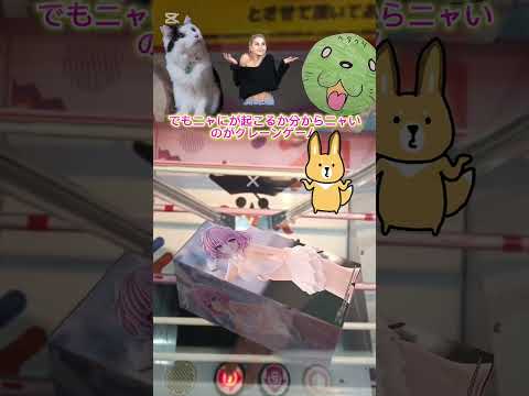 誰でも摂れる?処分ブース・BiCuteモモバニーチャレンジ