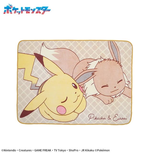 ポケットモンスター PtZ fuwa&hugブランケット~ピカチュウ&イーブイ~Vol.2