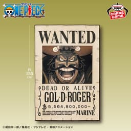 ワンピース ゴール・D・ロジャー 手配書ブランケット