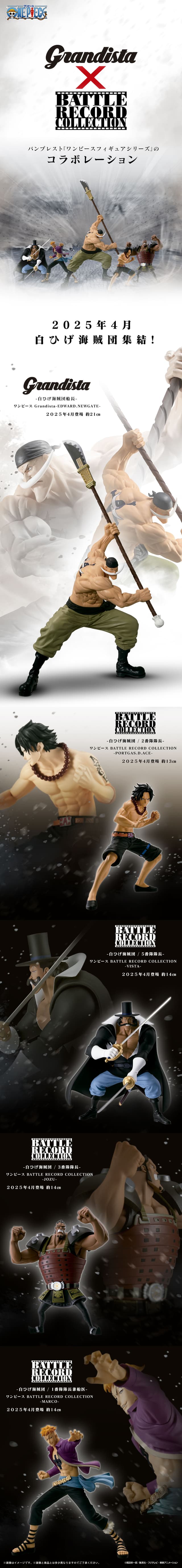 ワンピース BATTLE RECORD COLLECTION-MARCO-