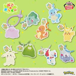 『ぽこ あ ポケモン』 シリコンバンド付きアクリルブロック